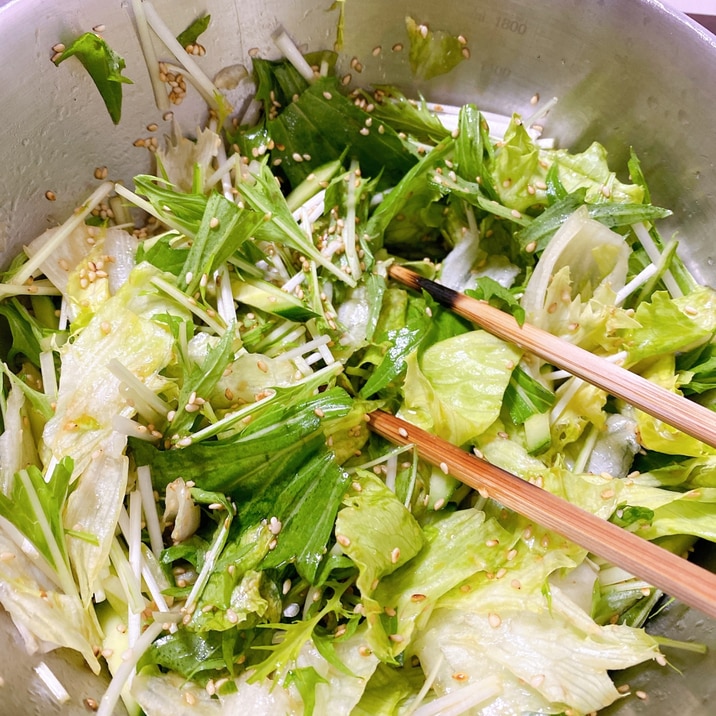 簡単!きゅうりと水菜とレタスのごまチョレギサラダ
